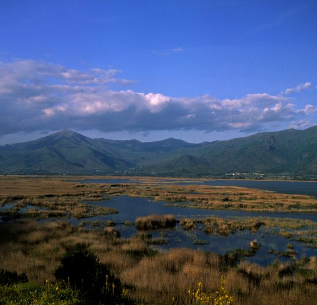 Στο περιθώριο της προεκλογικής ρητορείας τα θέματα περιβάλλοντος