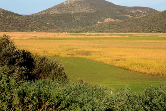 Κινδυνεύει η λίμνη του Δύστου    