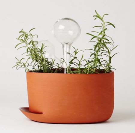 Κηπουρικές εργασίες εντός σπιτιού