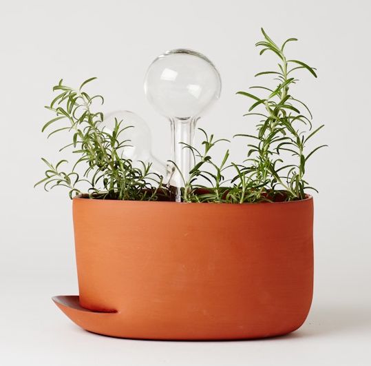 Κηπουρικές εργασίες εντός σπιτιού