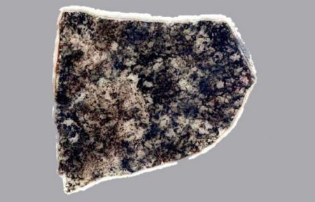 Ταπεινό μικρόβιο «δεν έχει εξελιχθεί» εδώ και δύο δισεκατομμύρια χρόνια