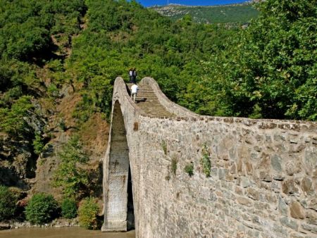 Λιγνή μακρυπόδαρη Εβελυν