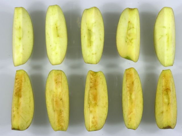 Εγκρίθηκε στις ΗΠΑ το πρώτο «μεταλλαγμένο» μήλο