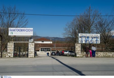 Αναζήτηση τυχόν ποινικών ευθυνών στη διοίκηση της Γαλακτοκομικής Σχολής Ιωαννίνων