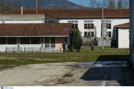 Η σχολή των κτηνοτρόφων