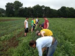 «Θρανία» στους αγρούς για τους έλληνες γεωργούς