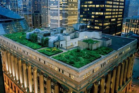 Καταπράσινες ταράτσες