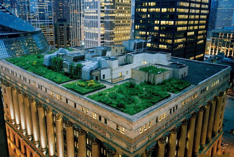 Καταπράσινες ταράτσες