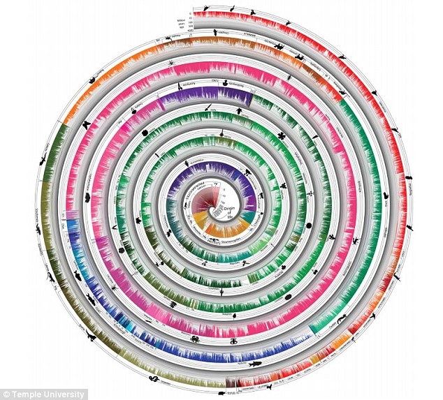 Το δέντρο της ζωής μοιάζει με γιγάντιο… γλειφιτζούρι