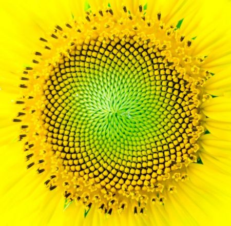 Μαθηματικά παιχνίδια