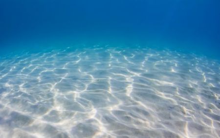 Πρωτακτίνιο: Βρείτε μου να κάνω κάτι