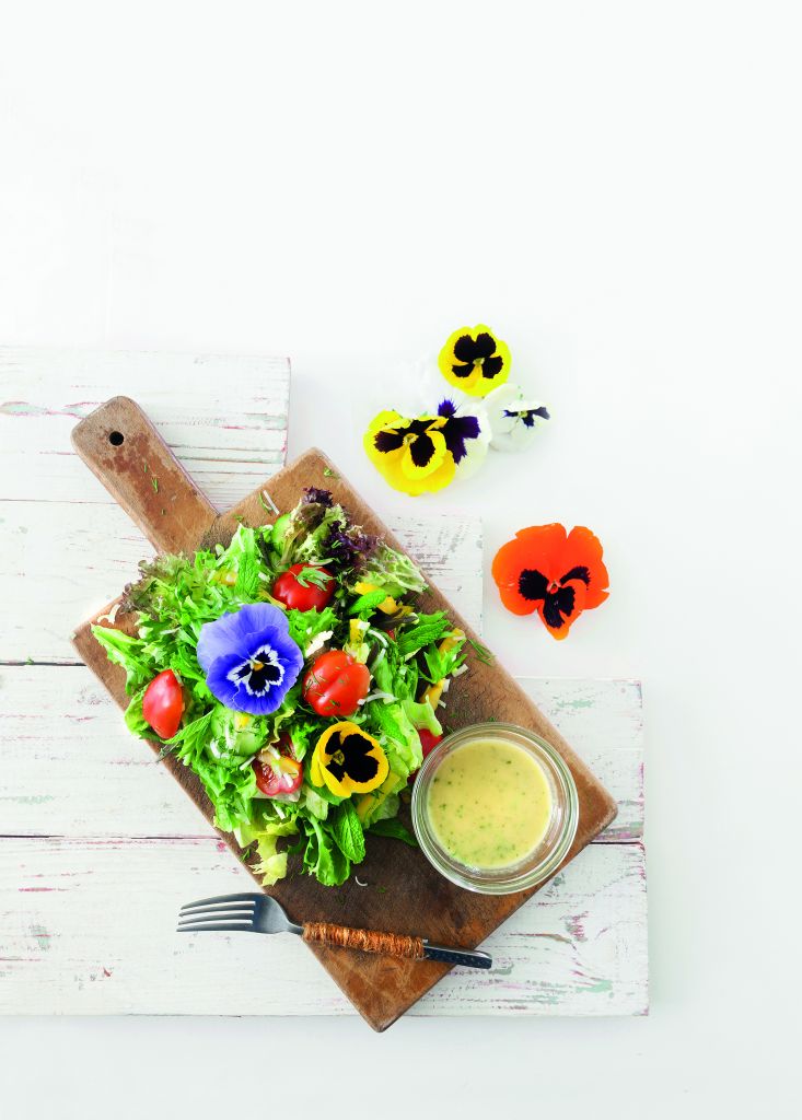 Εαρινή πανδαισία