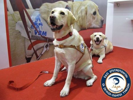 Σκύλοι-οδηγοί: Βλέποντας με «δανεικά» μάτια