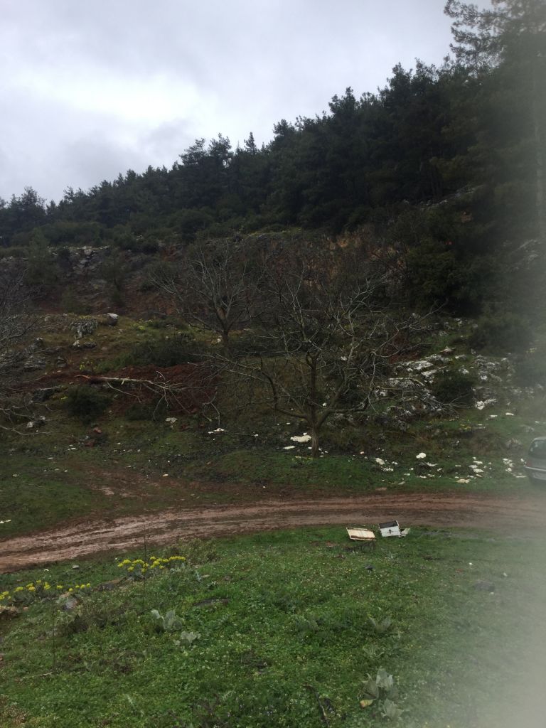 Περιβαλλοντικό έγκλημα στο Μαίναλο