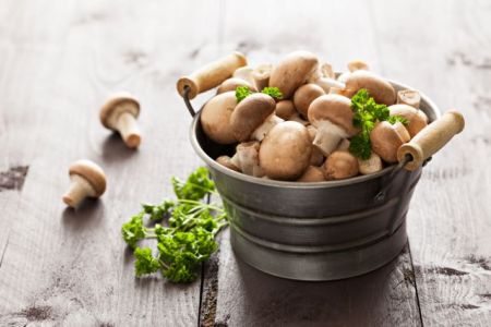 Πρωτεϊνες: Ο καλύτερος σύμμαχος για δίαιτα με αποτελέσματα