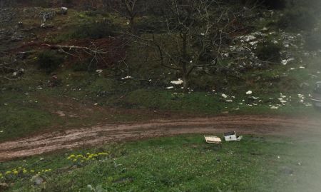 Environmental disaster being carried out on Mount Menalo