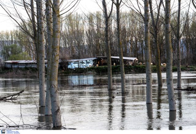 Στο έλεος των πλημμυρών στις Σέρρες – Χιλιάδες στρέμματα κατεστραμμένα
