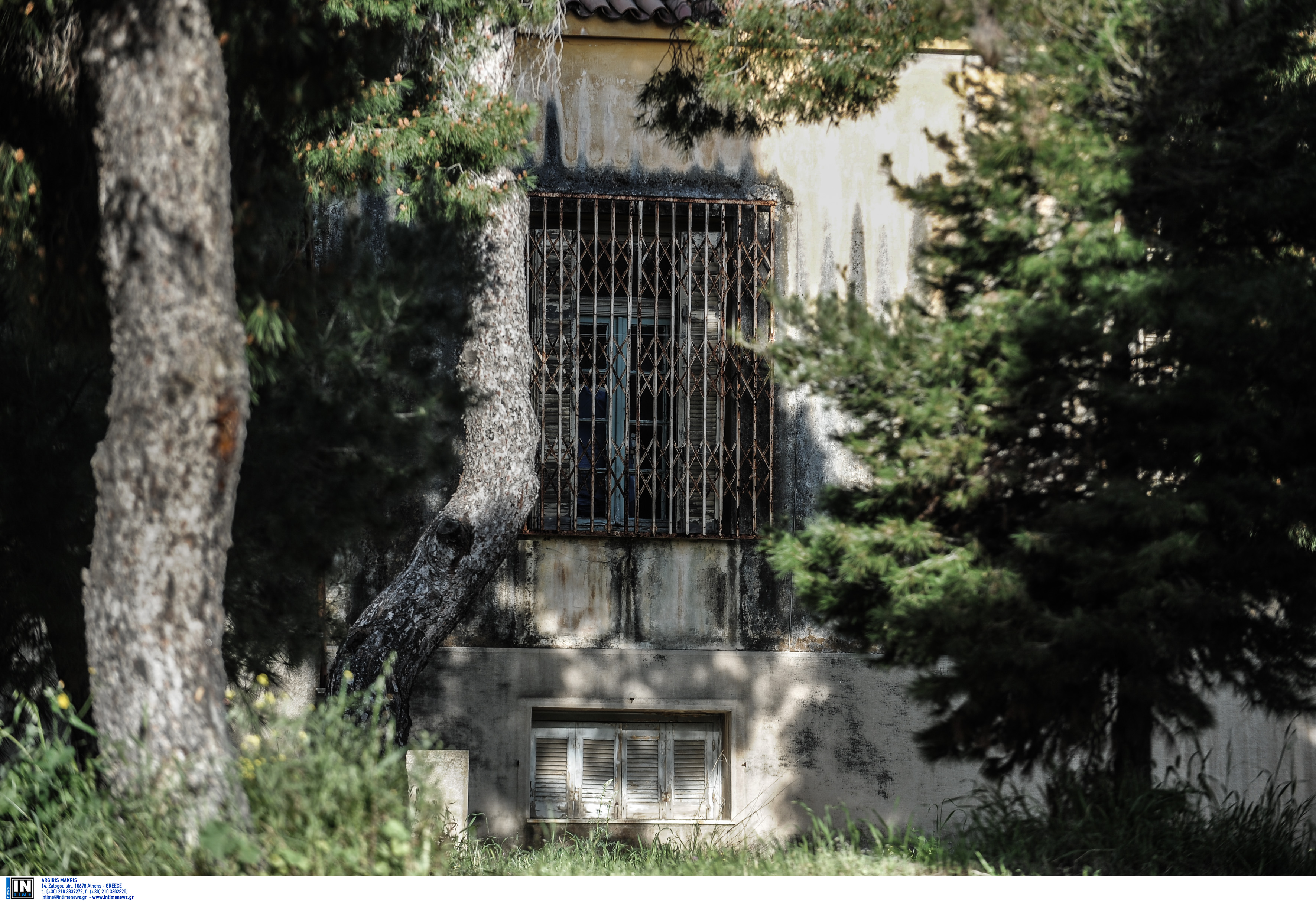 ΕΛ.ΑΣ: Ερευνά οργανωμένο σχέδιο απόδρασης της Βίκυς Σταμάτη