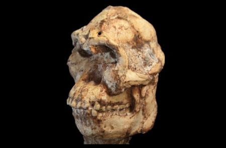 Ξάδελφος της «Λούσι» ίσως ήταν ο πραγματικός πρόγονός μας