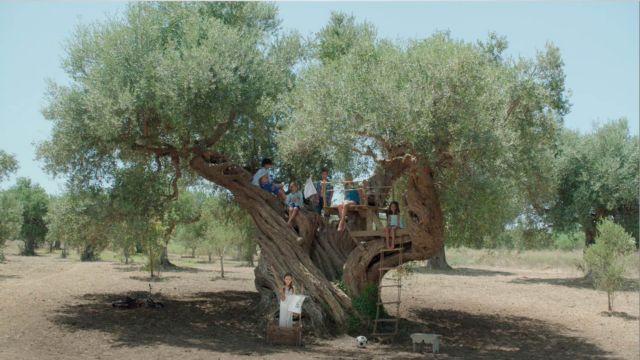 Νέο βίντεο από την Costa Navarino