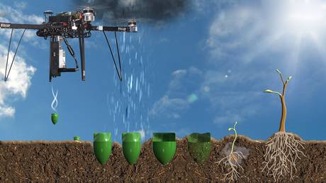 ΗΠΑ: Θα φυτέψουν 1 δισ. δέντρα χρησιμοποιώντας drones