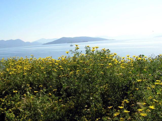 Μία δωρεάν διανυκτέρευση στην Αίγινα