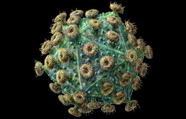 Τροποποιημένος ιός HIV εναντίον γενετικού συνδρόμου