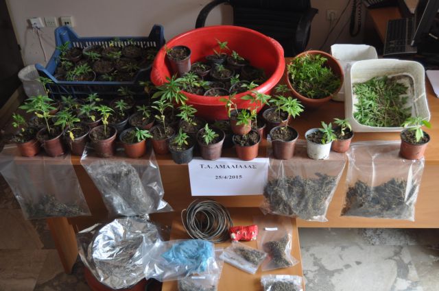 Ηλεία: Καλλιεργούσε φυτείες χασίς γύρω από το σπίτι του