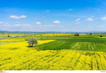 Νέες ρυθμίσεις για τις εγκρίσεις φυτοπροστατευτικών προϊόντων