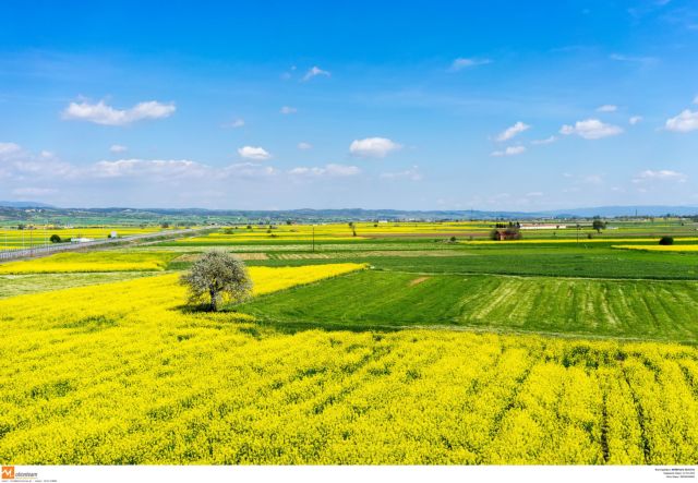 Νέες ρυθμίσεις για τις εγκρίσεις φυτοπροστατευτικών προϊόντων