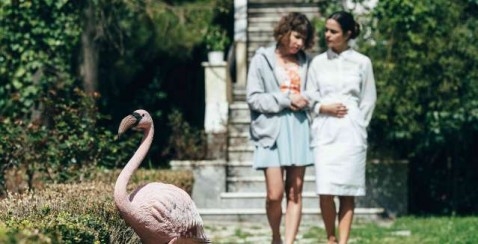 Ωδή στους γυναικείους συνεταιρισμούς