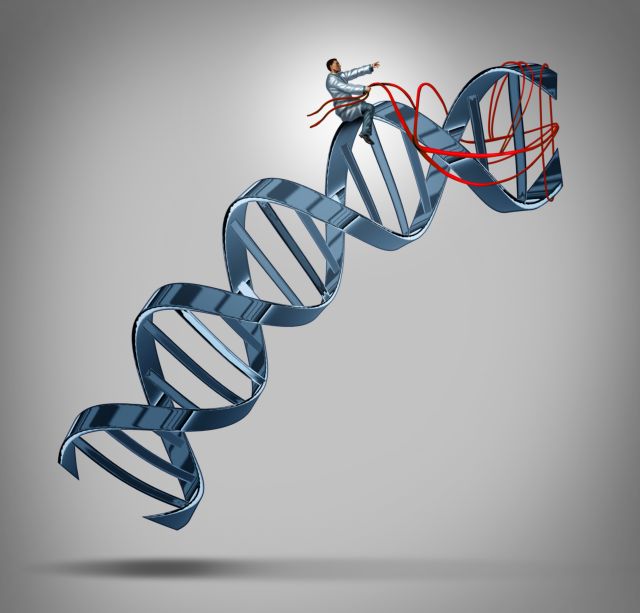 Ο «μεταφραστής» των γονιδίων μας