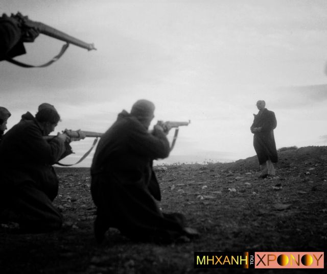 Ολοκαύτωμα στην Αλκυονίδα