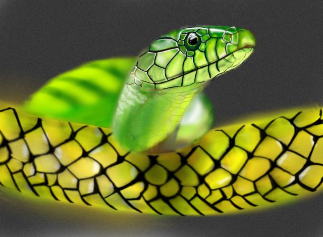 Τα φίδια κρύβουν καλά τα μυστικά τους