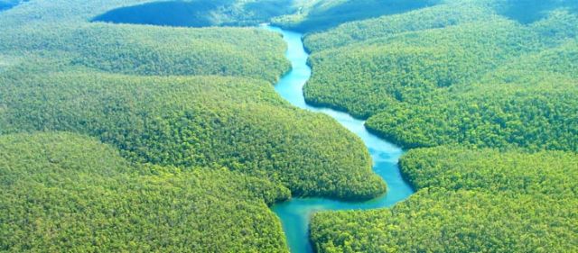 Οι ιθαγενείς μπορούν να  σώσουν τον Αμαζόνιο | tovima.gr