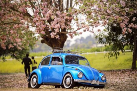 Ενα ταξίδι στα χρόνια της νιότης