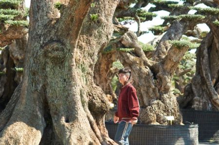 Οι ταινίες της εβδομάδας – Το δέντρο της ζωής