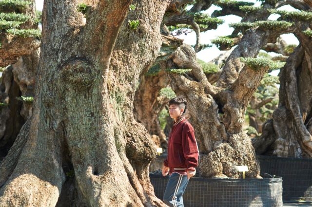 Οι ταινίες της εβδομάδας – Το δέντρο της ζωής