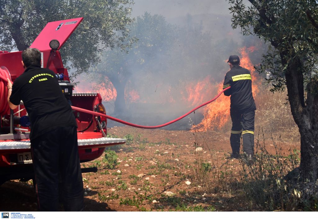 Υπό μερικό έλεγχο η πυρκαγιά στα Τουρκοβούνια