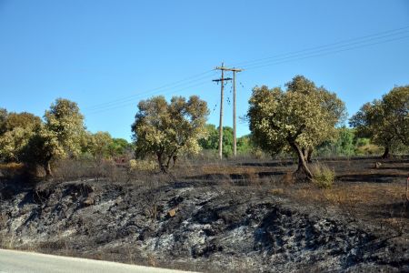 Χαλκιδική: Προφυλακιστέος ο 36χρονος που βρέθηκε κοντά σε πυρκαγιά