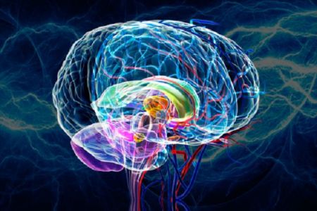 Ο χαμένος κρίκος που ενώνει το λεμφικό και το ανοσοποιητικό σύστημα