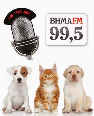 « Σαν τη…Σκύλα με τη Γάτα»