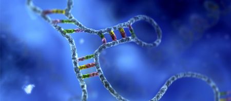 Τα mi-RNA ενάντια στους χρόνιους τραυματισμούς του δέρματος