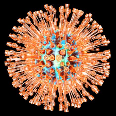 Ερπης: μόνιμος κάτοικος του οργανισμού