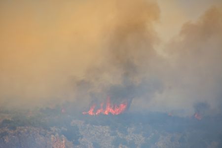 Καταστροφές επί 5 φέτος τον Ιούνιο σε σχέση με πέρσι από πυρκαγιές