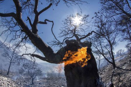 Συνεχίζει το καταστροφικό της έργο η πυρκαγιά στην Ζάκυνθο