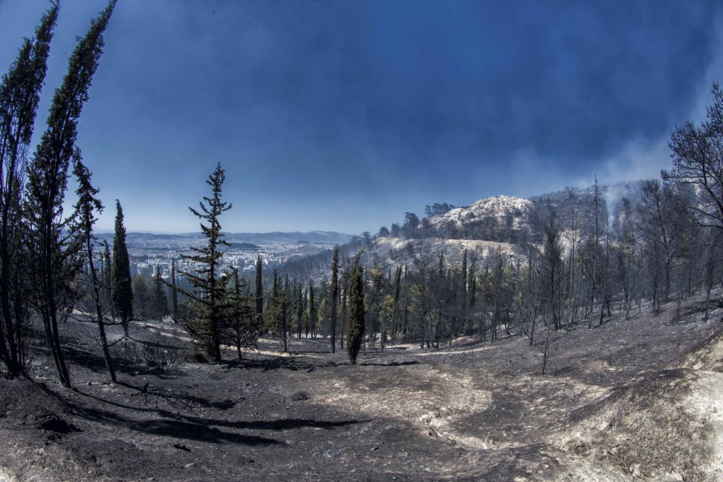 Νεκρός άνδρας βρέθηκε στο καμένο δάσος του Καρέα