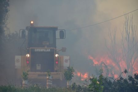 Πυρκαγιά σε δασική περιοχή στο Αστρος Κυνουρίας