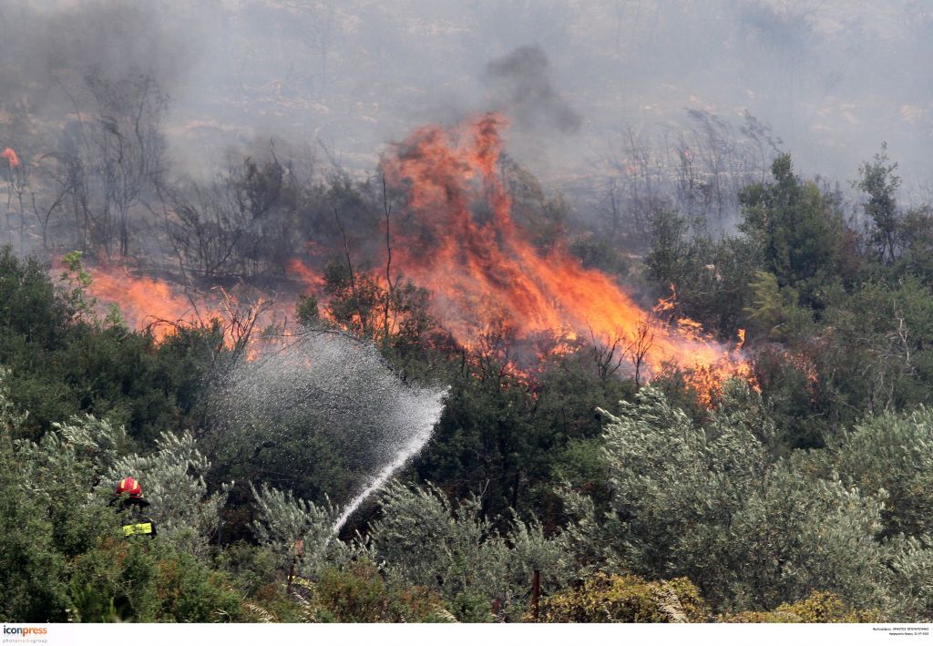 Τρίπολη: Σε εξέλιξη μεγάλη φωτιά στον Πάρνωνα