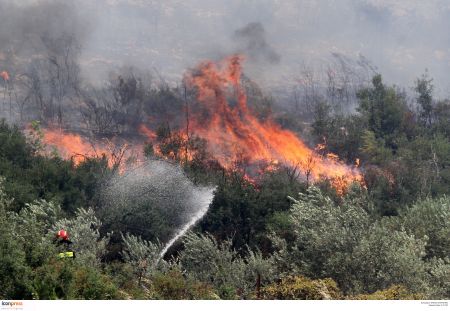 Τρίπολη: Σε εξέλιξη μεγάλη φωτιά στον Πάρνωνα